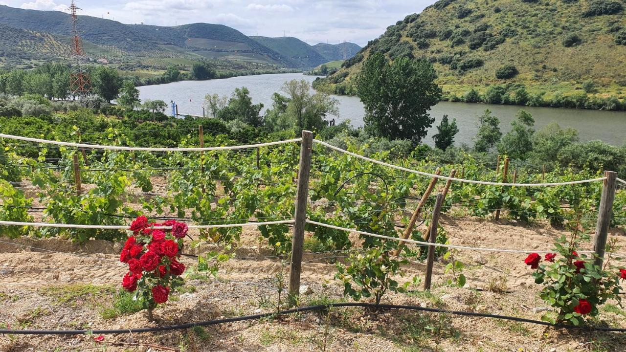 Olhares Do Douro Guest House Torre De Moncorvo Exterior photo